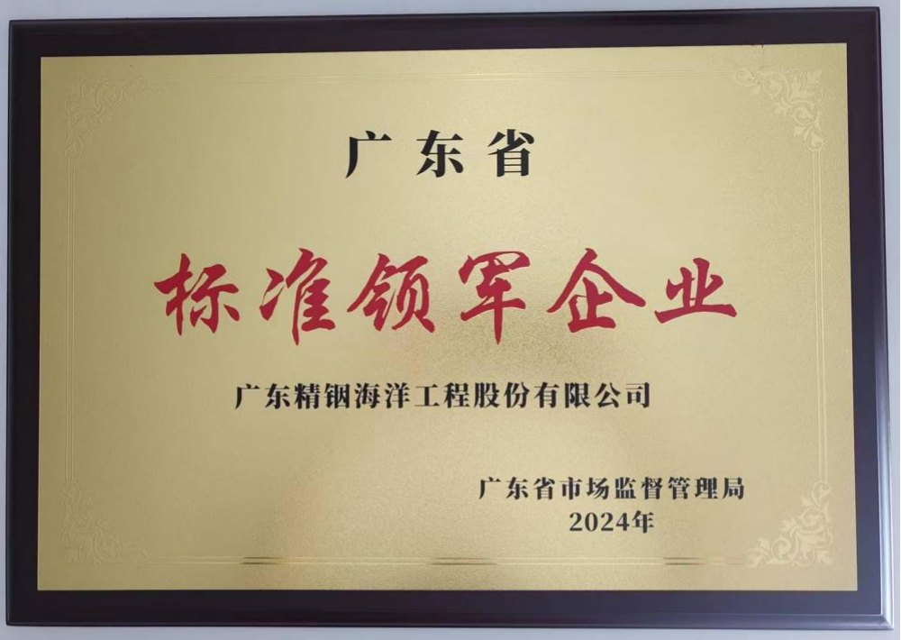 全省首批！精銦海工獲評“廣東省標(biāo)準(zhǔn)領(lǐng)軍企業(yè)”榮譽(yù)稱號